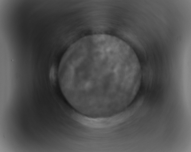 X0000092090038200710031202