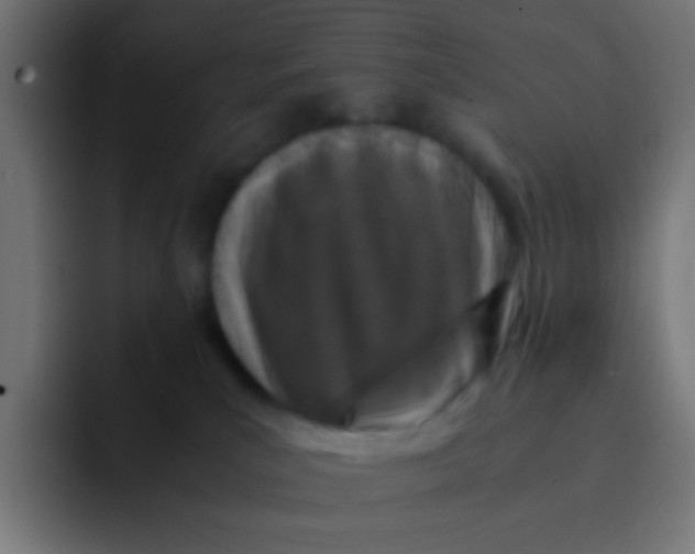 X0000092090039200710031202