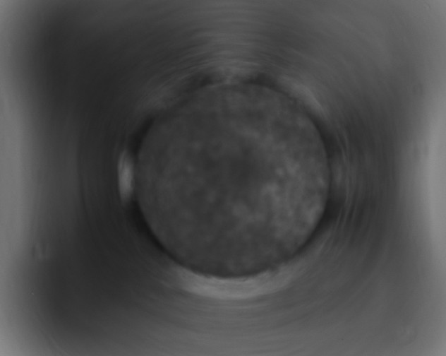 X0000092090042200710031202