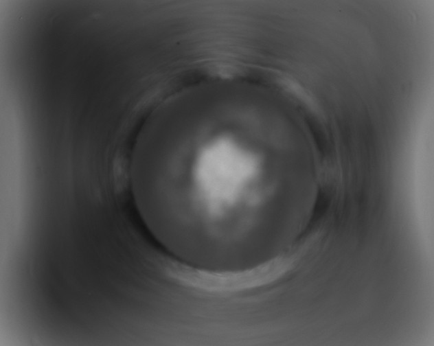 X0000092090043200710031202