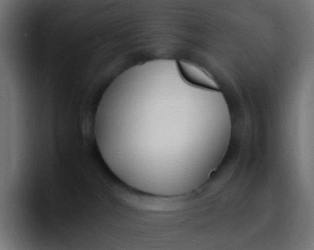 X0000092090044200710031202