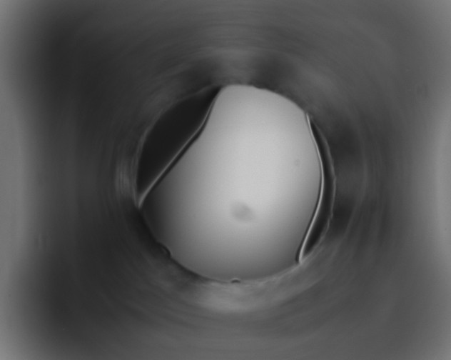 X0000092090045200710031202