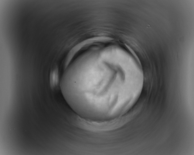 X0000092090046200710031202