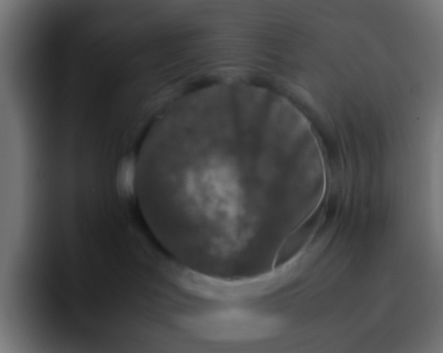 X0000092090047200710031202