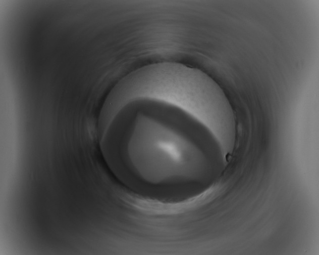 X0000092090048200710031202