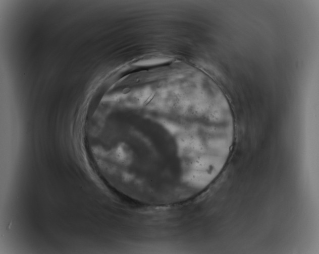 X0000092090049200710031201