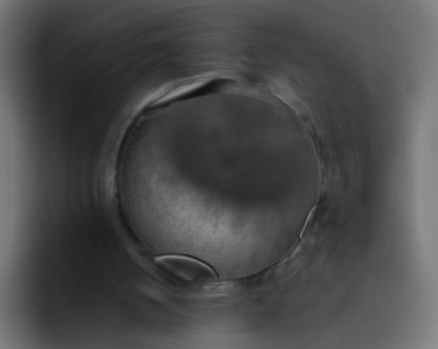 X0000092090050200710031201