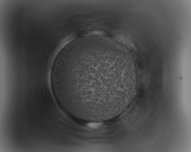 X0000092090051200710031201