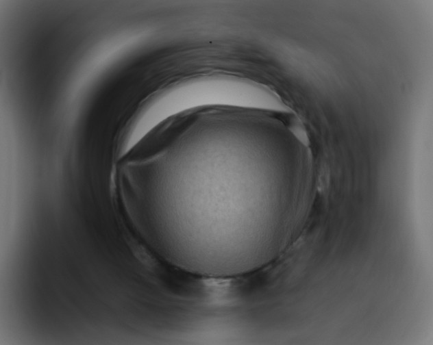 X0000092090052200710031201