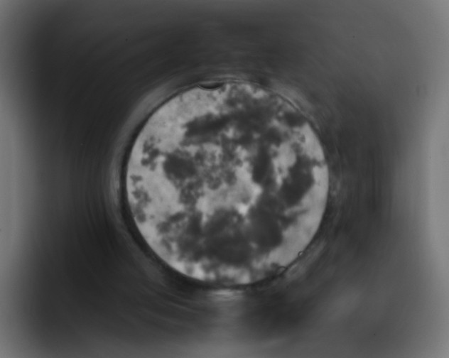 X0000092090053200710031201