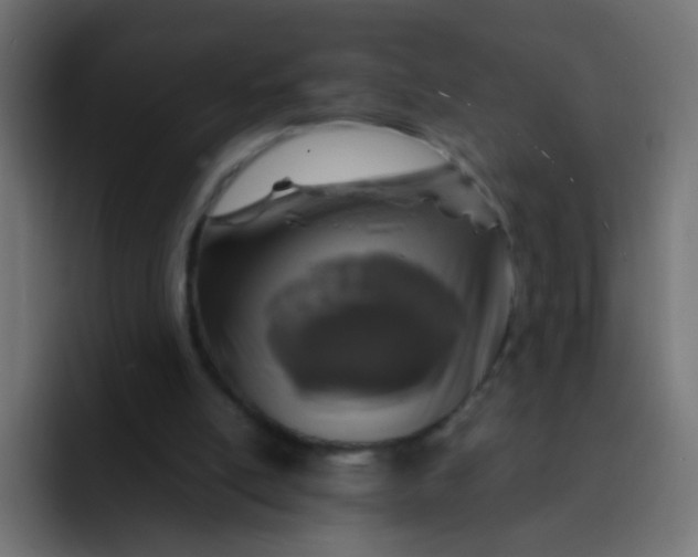 X0000092090054200710031202