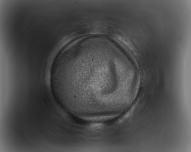 X0000092090055200710031202