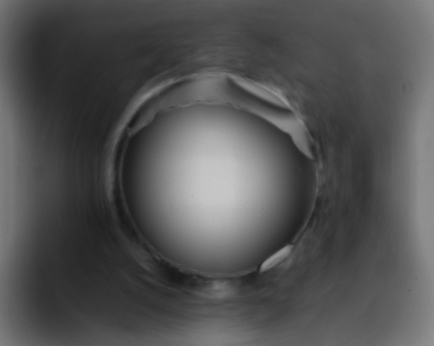 X0000092090056200710031202