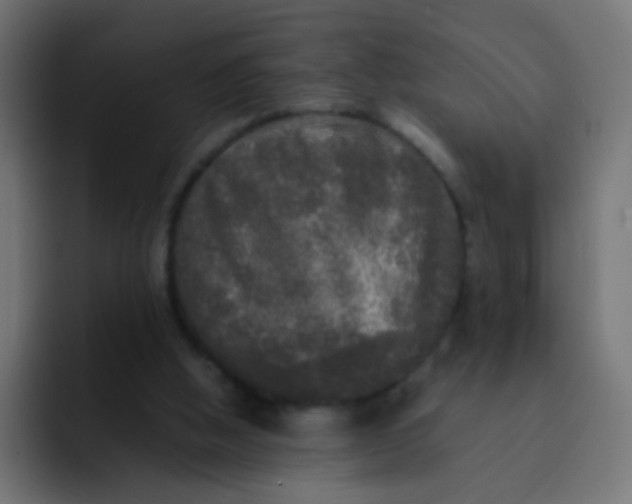 X0000092090058200710031202