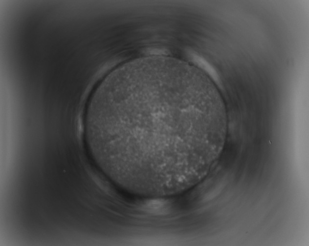 X0000092090059200710031202