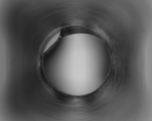 X0000092090060200710031202