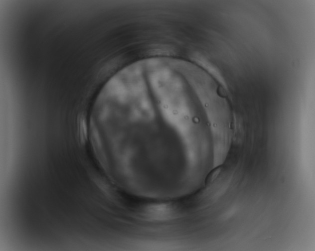 X0000092090061200710031202