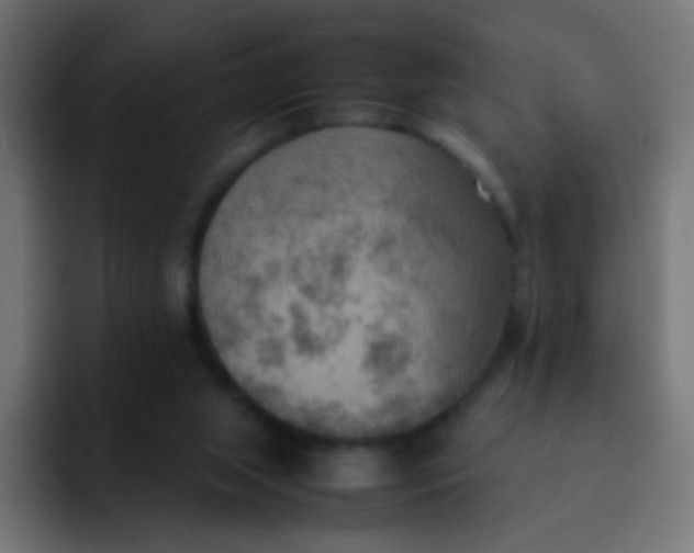 X0000092090063200710031202