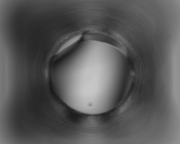 X0000092090064200710031202