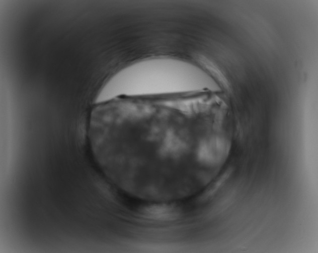 X0000092090065200710031202