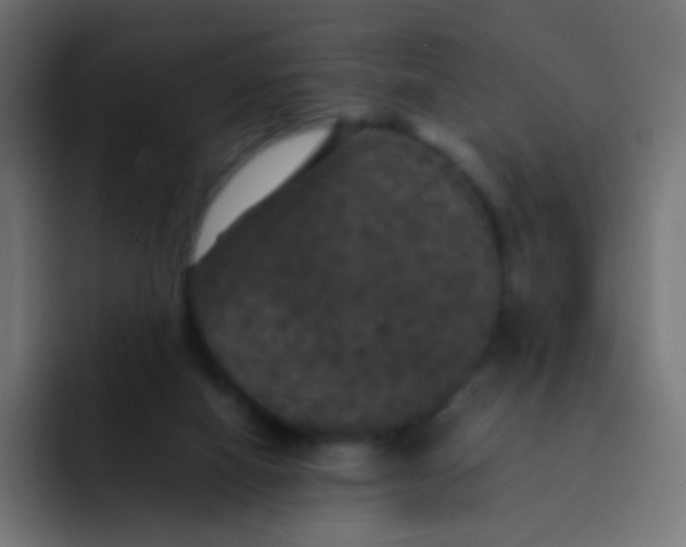 X0000092090066200710031202