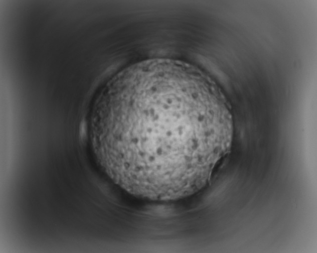 X0000092090067200710031202