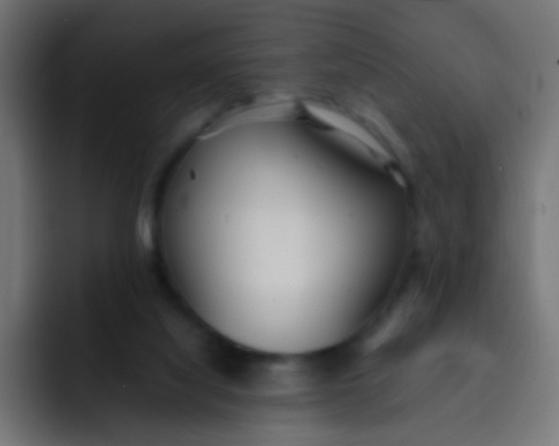 X0000092090068200710031202