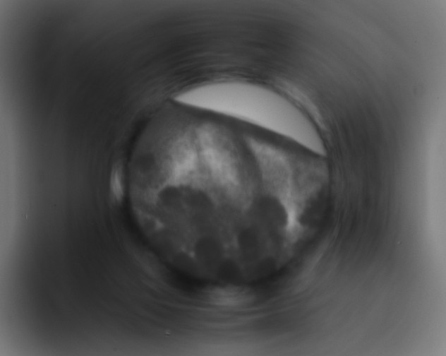 X0000092090069200710031202