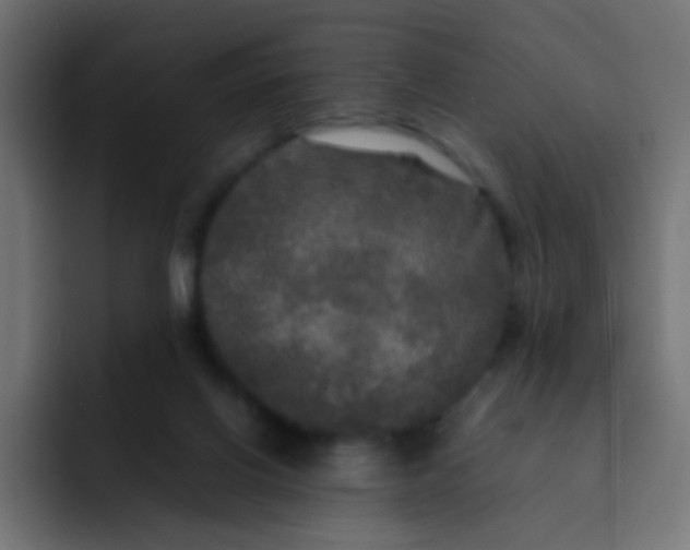 X0000092090070200710031202