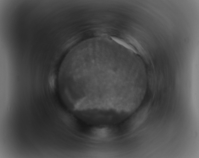 X0000092090071200710031202