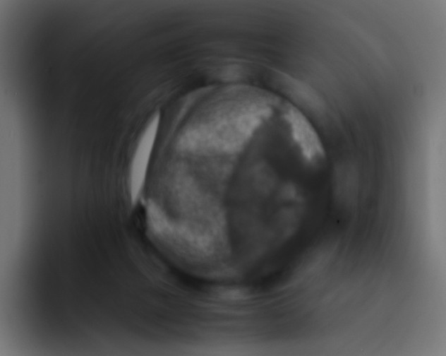 X0000092090073200710031202