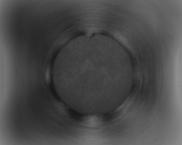 X0000092090074200710031202