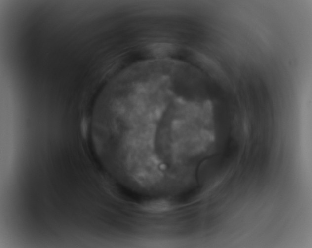 X0000092090075200710031202