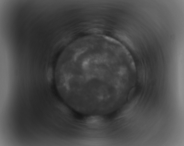 X0000092090077200710031202