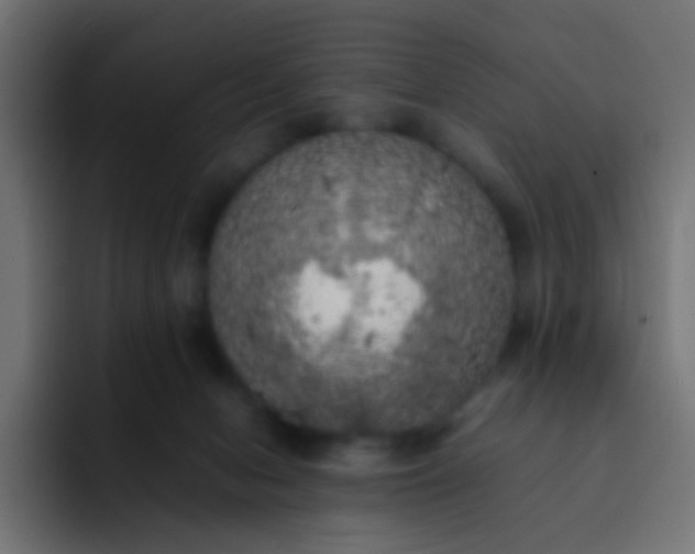 X0000092090078200710031202