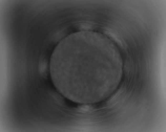 X0000092090079200710031202