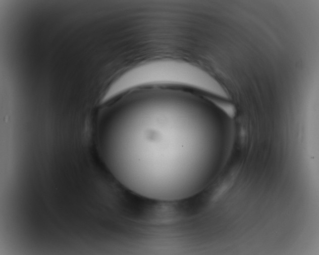 X0000092090080200710031202