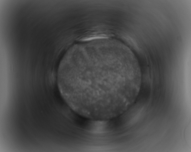 X0000092090081200710031202