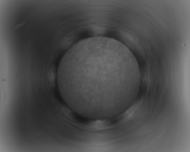 X0000092090082200710031202