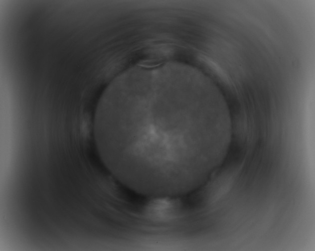 X0000092090083200710031202