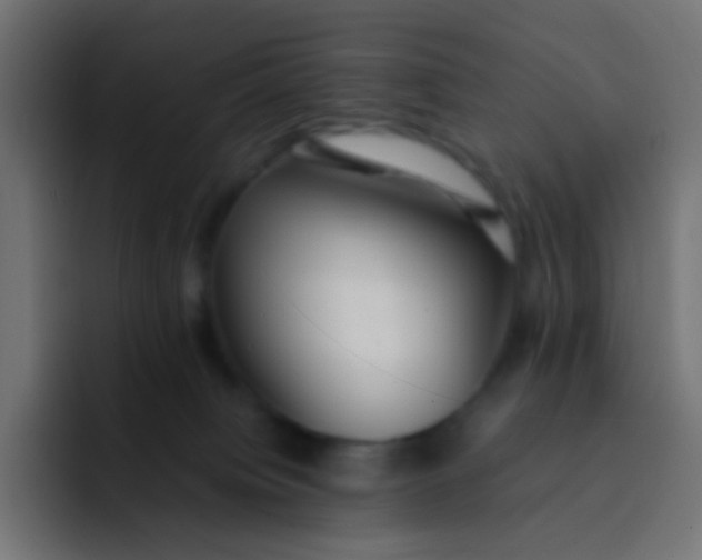 X0000092090084200710031202