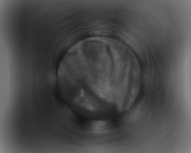 X0000092090085200710031202