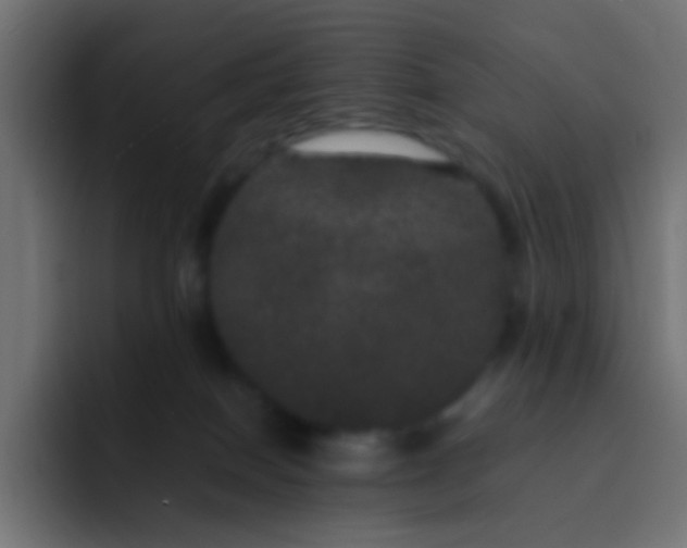 X0000092090086200710031202