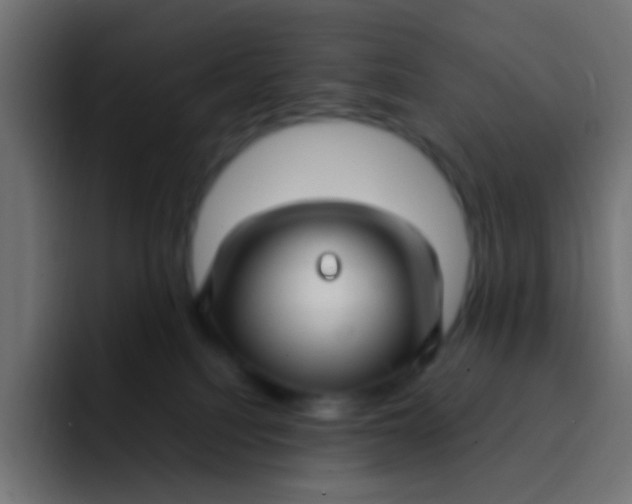 X0000092090088200710031202