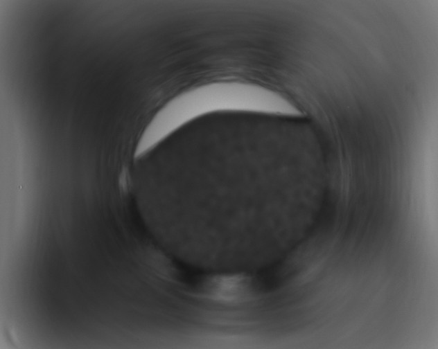 X0000092090089200710031202