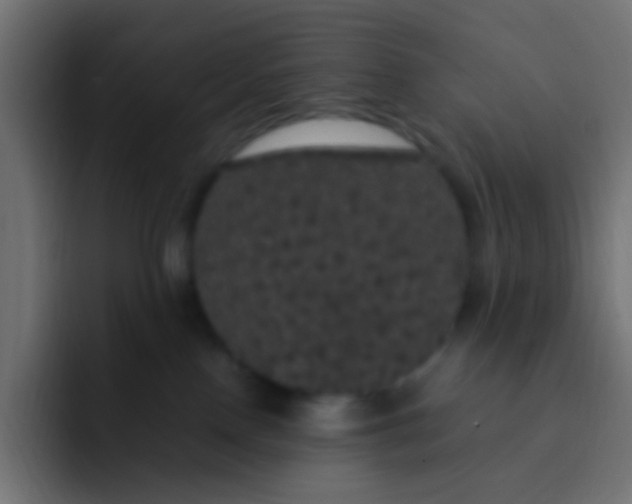 X0000092090090200710031202