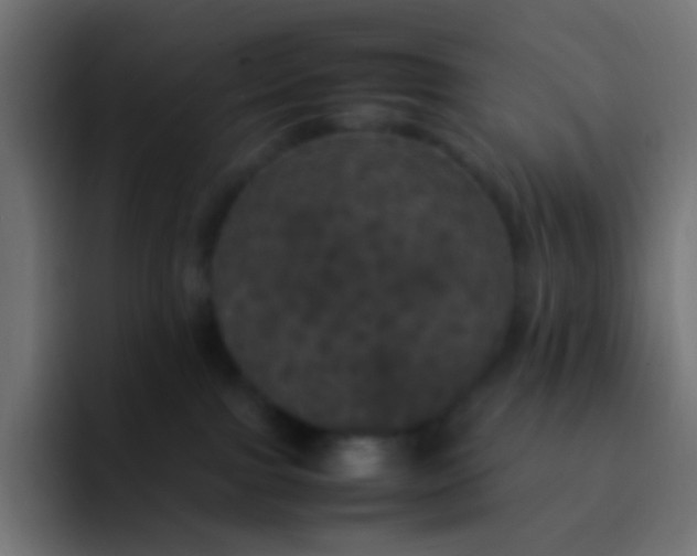 X0000092090091200710031202