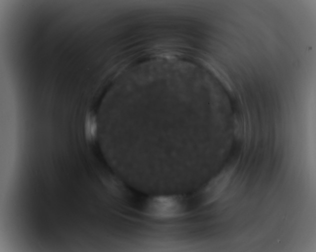 X0000092090095200710031202