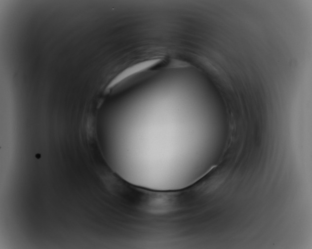 X0000092090096200710031202