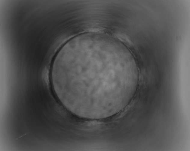 X0000092090098200710031201